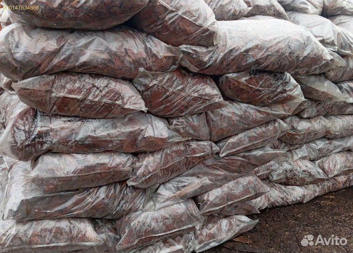 Сила коры лиственницы в вашем доме