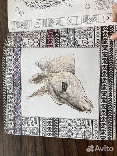 Раскраска антистресс для взрослых и детей