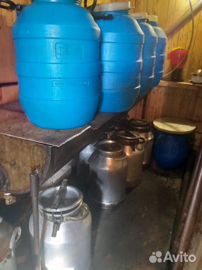 Маслопресс шнековый холодного отжима