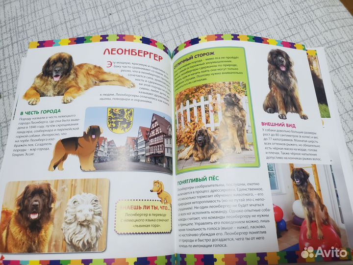 Детская энциклопедия. Собаки