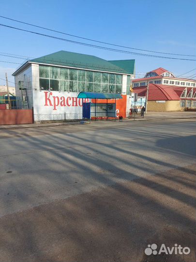 Сдам в аренду