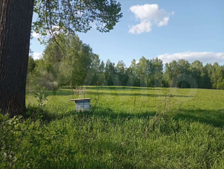 Участок 30 сот. (ИЖС)