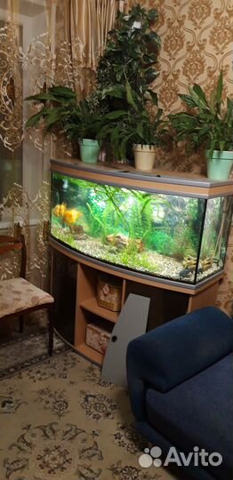 Аквариум с тумбой бу