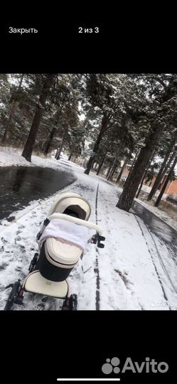 Коляска 3 в 1 max of aulon