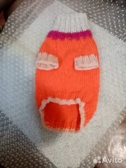 Свитер для собаки и платье