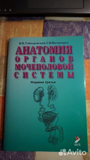 Анатомия органов мочеполовой системы