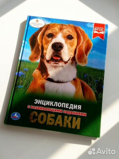 Детские энциклопедии про собак