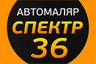 СПЕКТР36 интернет-магазин