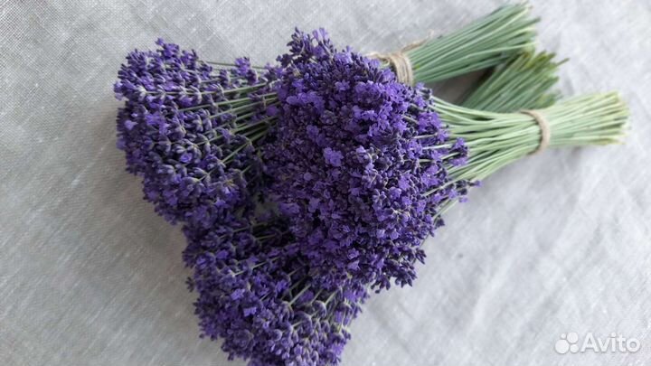 Лаванда свежая в букетах