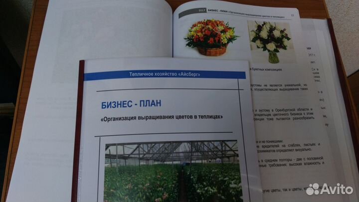 Бизнес-планы, фин. модели, тэо, презентации