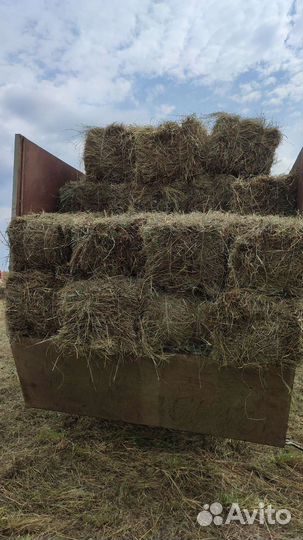 Сено разнотравье луговое. С дома с сеника
