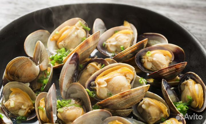 Клеммы Вонголе