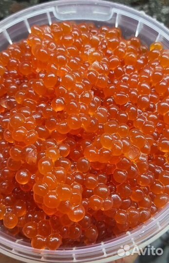 Икра от производителя
