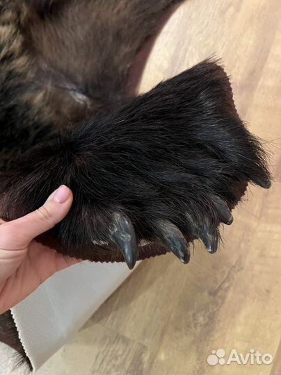 Шкура медведя имитация