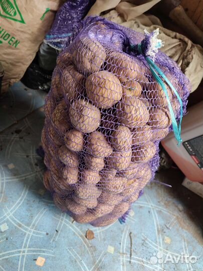 Продам картофель едовой