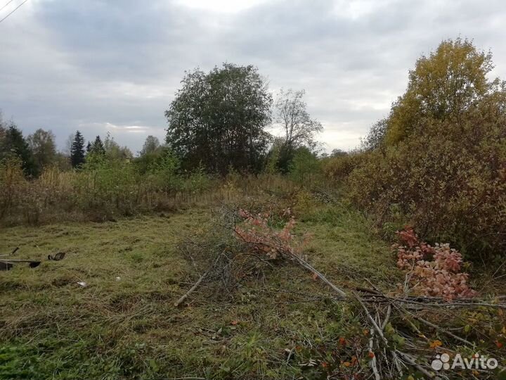 Покос, травы, благоустройства,вывоз мусора