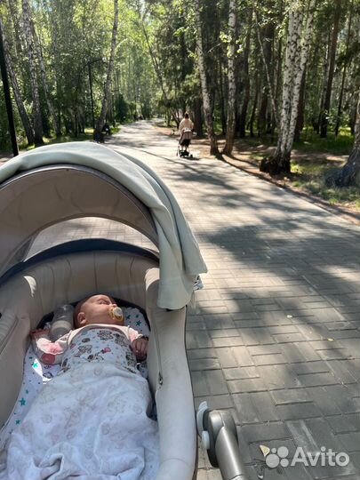 Коляска stokke trailz 2 в 1