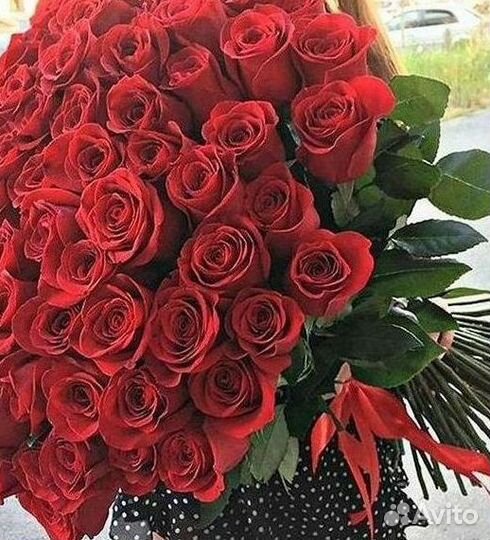 Розы Букеты Цветы Розы 31 101 151 201 Доставка