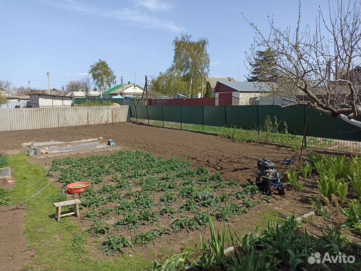 Вспашка участка в Марксе