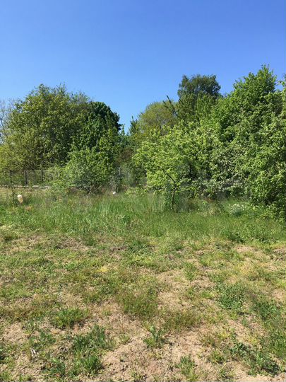 Участок 10,9 сот. (СНТ, ДНП)