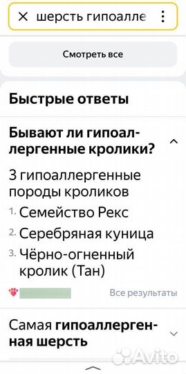 Декоративные кролики