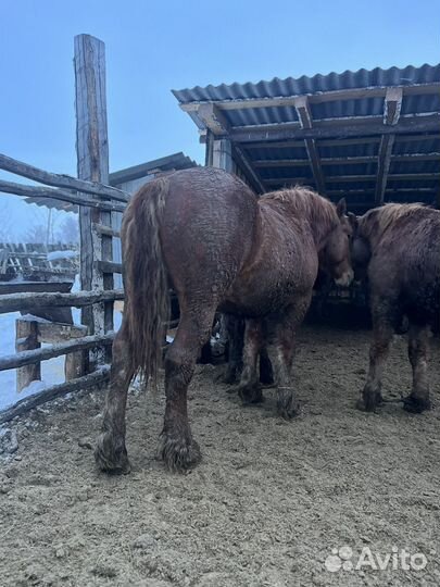 Советский тяжеловоз