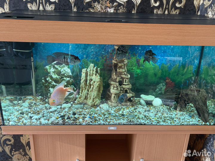 Аквариум juwel с тумбой