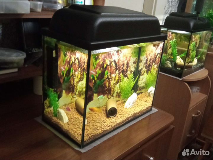 Отличный, готовый аквариум