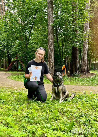 Выгул собак, догситтер, передержка, кинолог