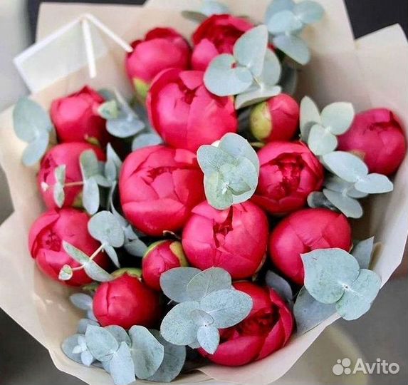 Пионы Цветы Доставка