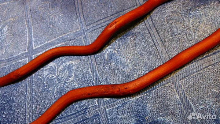 Ветка корилус, ствол для топиарий