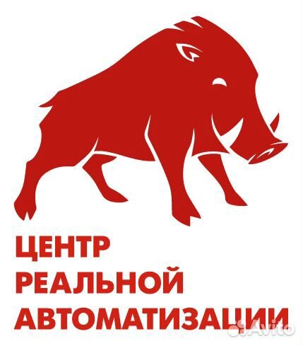 Программист 1С Тверь, обновление и поддержка