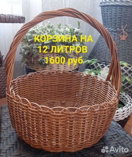 Курсы по обучению