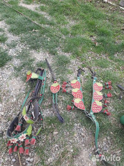 Амуниция на пони