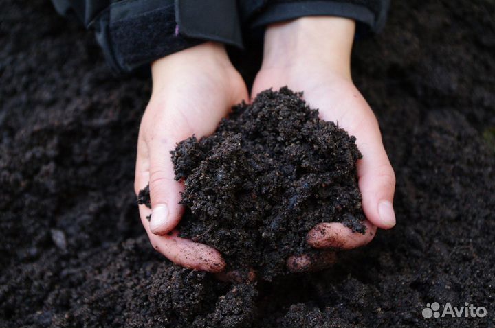 Чернозем, Песок, грунт, сыпучие материалы