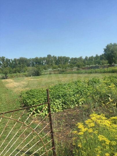 Участок 8 сот. (ИЖС)