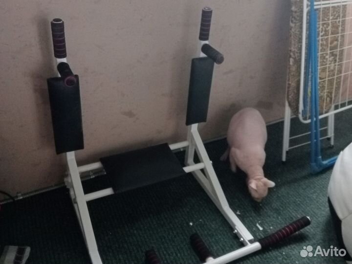 Турник настенный 3 в 1 бу