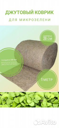 Семена для микрозелени