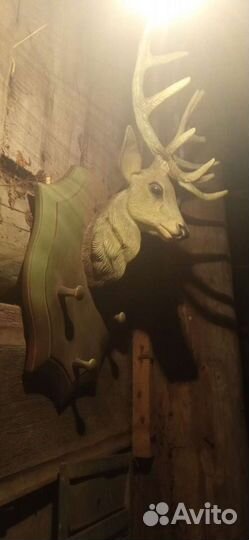 Вешалка для одежды