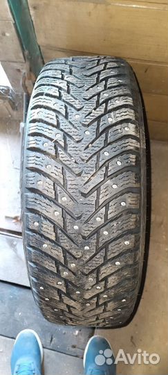 Nokian Tyres Hakkapeliitta 8 195/65 R15