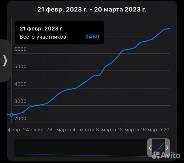 Продвижение Телеграм и Иг. Опытный Таргетолог