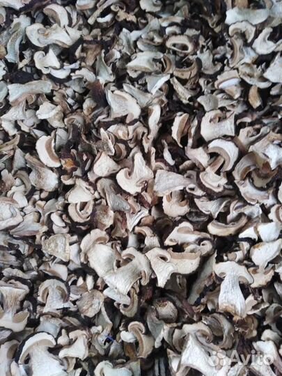 Сухой белый гриб