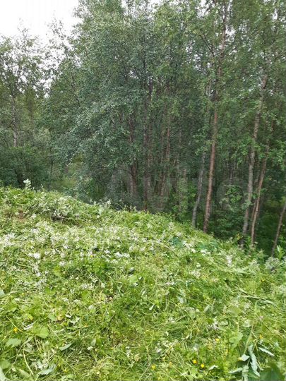 Участок 9 сот. (СНТ, ДНП)