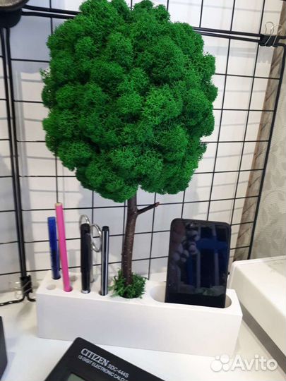 Канцелярский набор из гипса со стабилизированным м