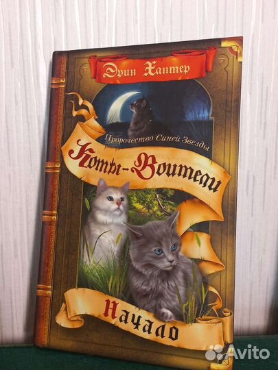 Коты-Воители