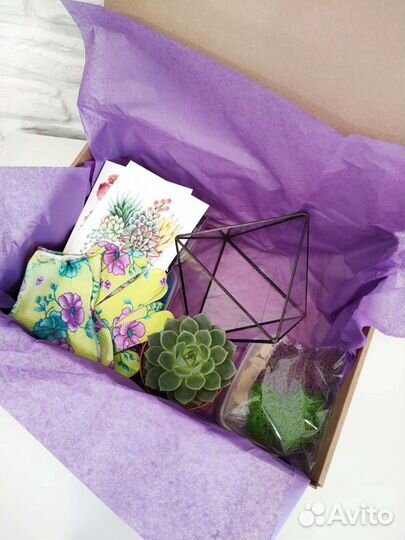 Набор для создания флорариума