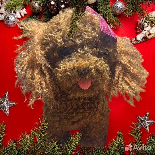 Интерактивная поющая собачка новая