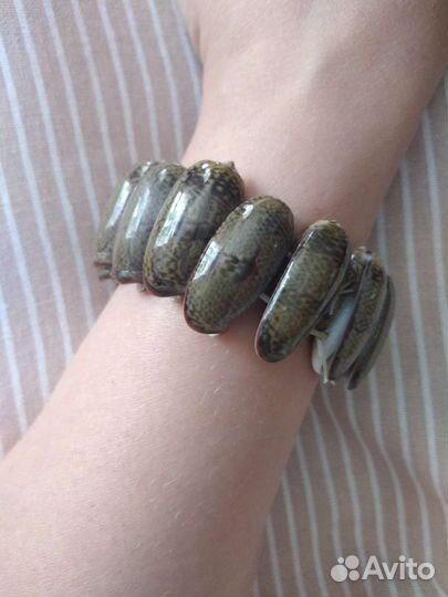 Браслет из морских ракушек