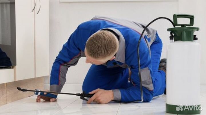 Уничтожение клопов и тараканов