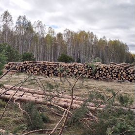 Продам лес кругляк тонкомер